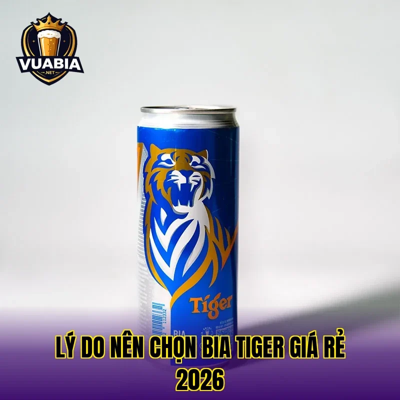 Lý do nên chọn bia Tiger giá rẻ 2026