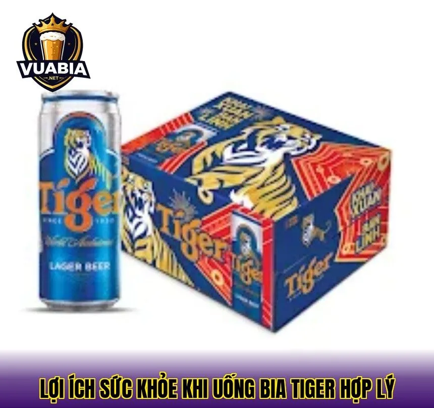 Lợi ích sức khỏe khi uống bia Tiger hợp lý