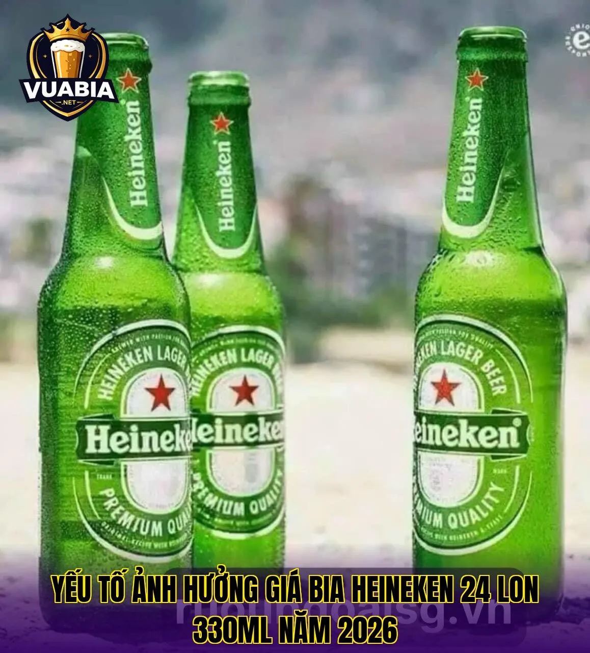 Yếu tố ảnh hưởng giá bia Heineken 24 lon 330ml năm 2026