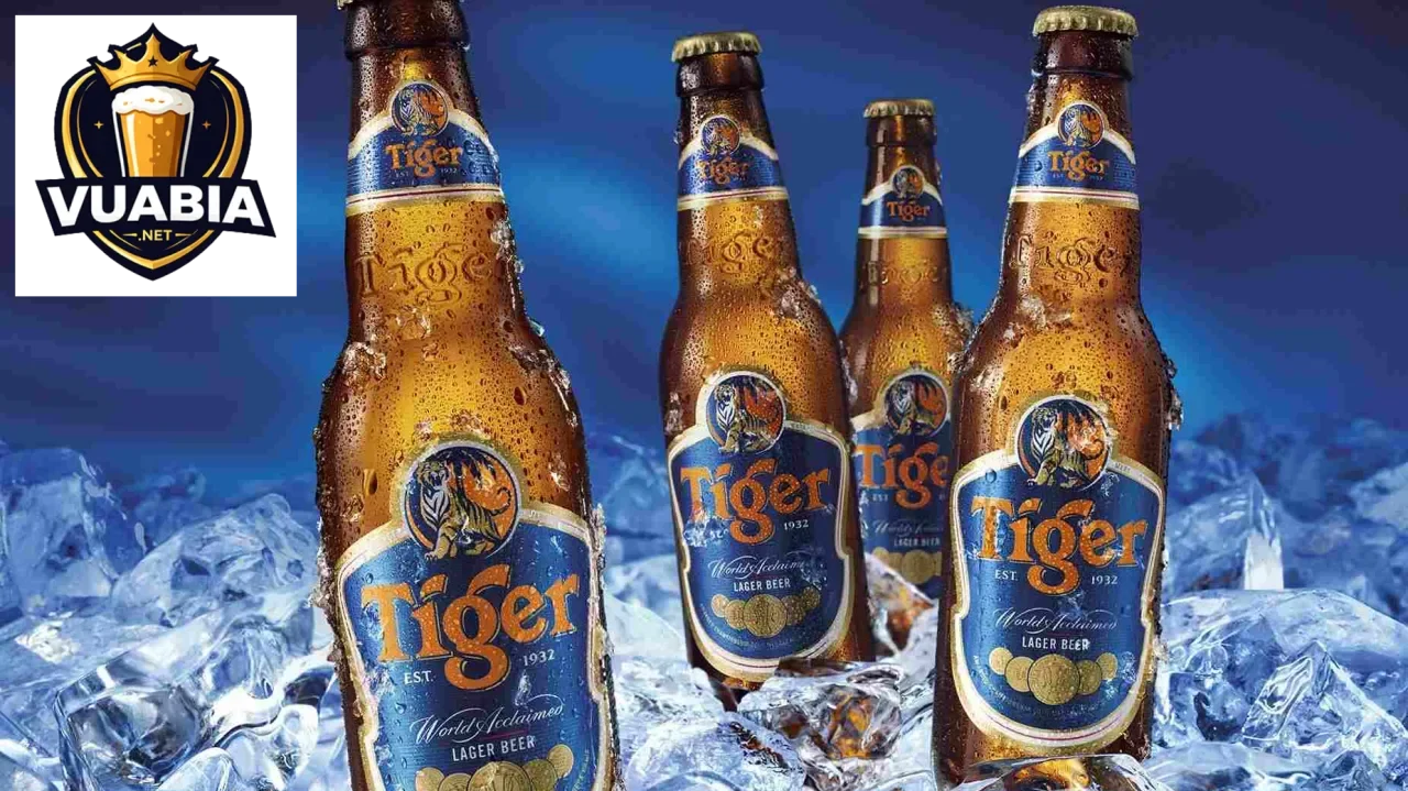 Bia Tiger – hình ảnh sản phẩm và thương hiệu Tiger tại Việt Nam