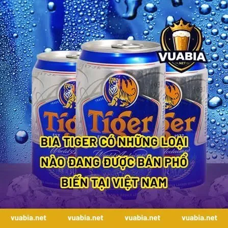 Bia Tiger có những loại nào đang được bán phổ biến tại Việt Nam