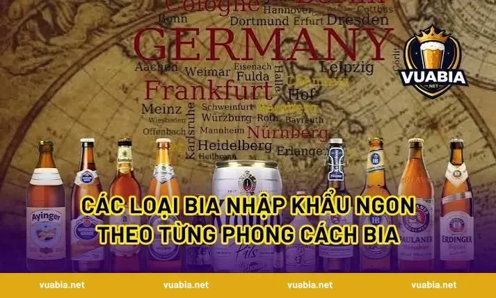 Các Loại Bia Nhập Khẩu Ngon Theo Từng Phong Cách Bia