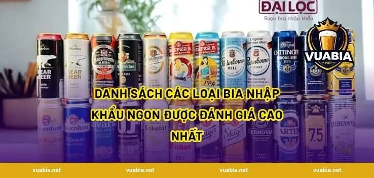 Danh Sách Các Loại Bia Nhập Khẩu Ngon Được Đánh Giá Cao Nhất