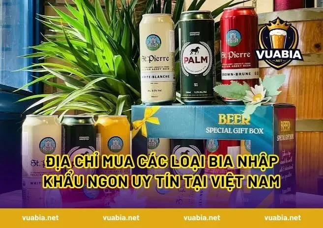 Địa Chỉ Mua Các Loại Bia Nhập Khẩu Ngon Uy Tín Tại Việt Nam