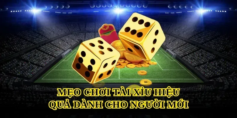 Mẹo Chơi Tài Xỉu Hiệu Quả Dành Cho Người Mới