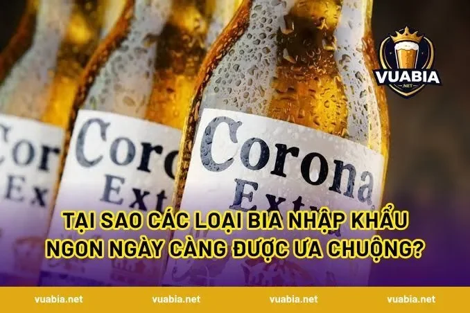 Tại Sao Các Loại Bia Nhập Khẩu Ngon Ngày Càng Được Ưa Chuộng?